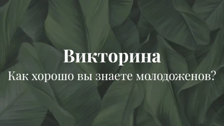 Викторина