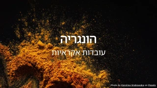 חידון הונגריה (סדרת עובדות אקראיות)