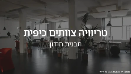 חידון טריוויה לצוותים