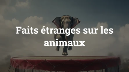 Quiz : faits insolites sur les animaux