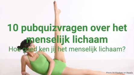 10 pubquizvragen over het menselijk lichaam