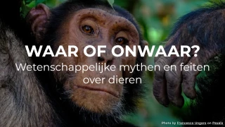 Waar of niet waar? Wetenschappelijke mythen en feiten over dieren