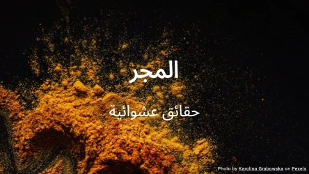 اختبار المجر (سلسلة حقائق عشوائية)