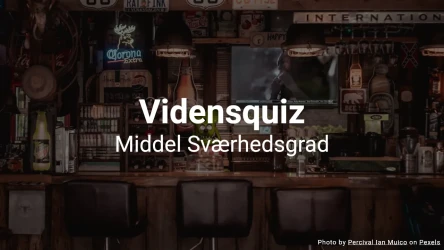 Vidensquiz – 10 spørgsmål der tester din snilde