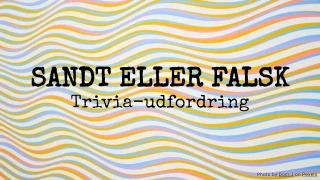 Sandt eller falsk quiz: Trivia-udfordring