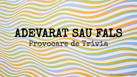 Quiz Adevărat sau Fals: Provocare de Trivia