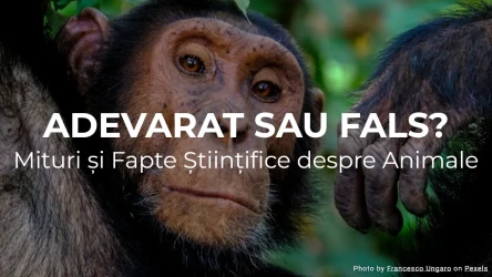 Adevărat sau Fals? Mituri și Fapte Științifice despre Animale
