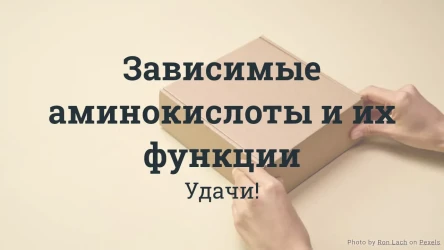Викторина для команды продаж