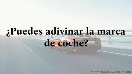 ¿Puedes adivinar la marca de coche?