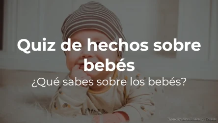 Quiz de hechos sobre bebés: ¿Qué sabes sobre los bebés?