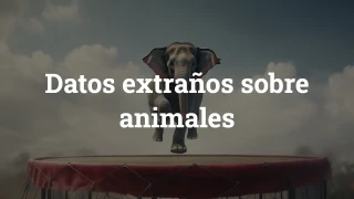 Cuestionario de datos extraños sobre animales
