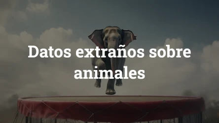 Cuestionario de datos extraños sobre animales