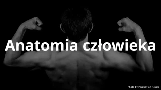 Quiz z anatomii człowieka - pytania wielokrotnego wyboru