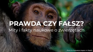 Prawda czy fałsz? Naukowe mity i fakty o zwierzętach