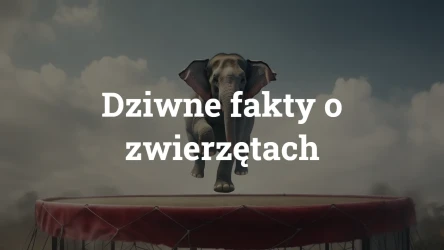 Quiz: Dziwne fakty o zwierzętach