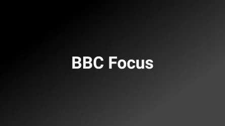 C Focus Quiz