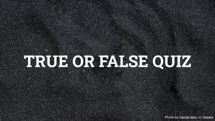 TRUE OR FALSE QUIZ 