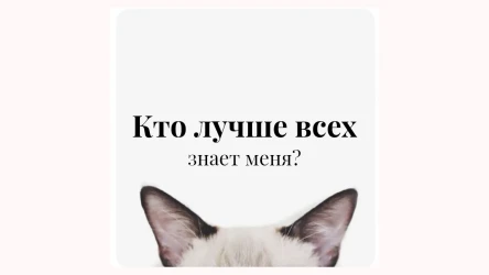 Кто лучше знает Ксюшу?