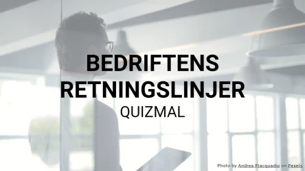 Quiz om Bedriftens Retningslinjer