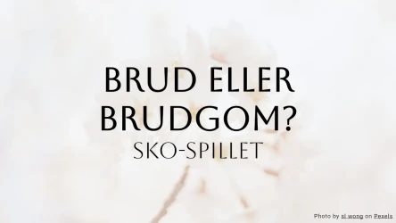 Brud eller brudgom bryllupsquiz – Sko-leken