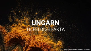 Ungarn Quiz (Tilfeldige Fakta Serie)