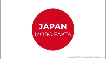 Japan Moro Quiz