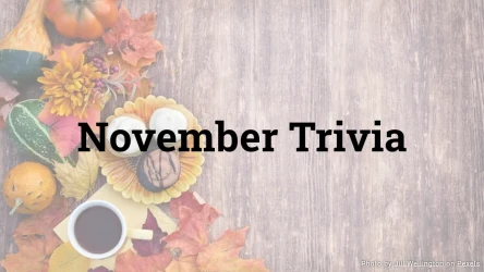 November Trivia Quiz