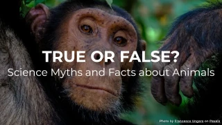 True or False? Science Myths and Facts about Animals