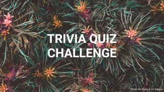 General Trivia Quiz IV - Medium Challenge