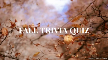 Fall Trivia Quiz