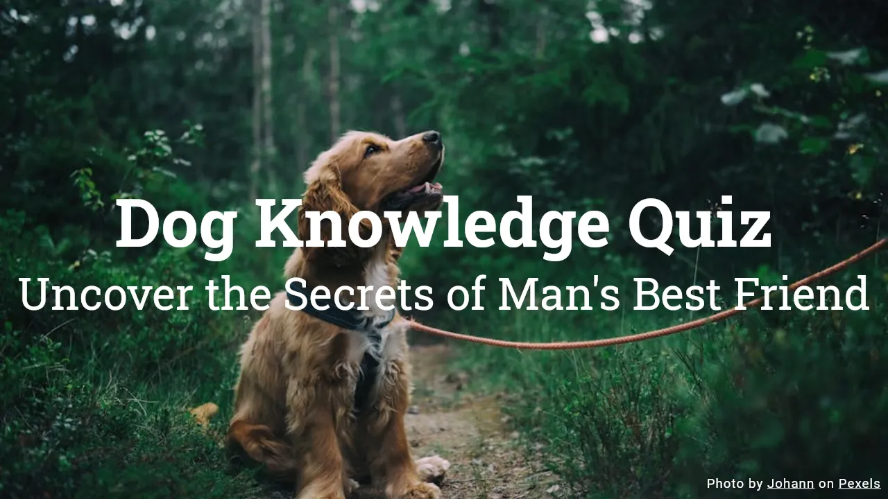 Dog Knowledge Quiz: Uncover the Secrets of Man's Best Friend