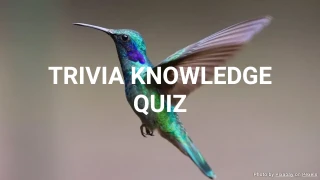 General Trivia Quiz V - Test Your General Knowledge
