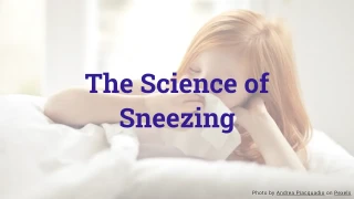 The Science of Sneezing Quiz