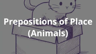 Prepositions of Place (Animals)